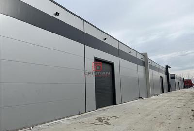 Depozit/hala/spatiu industrial Popesti Leordeni-Oltenitei - 12