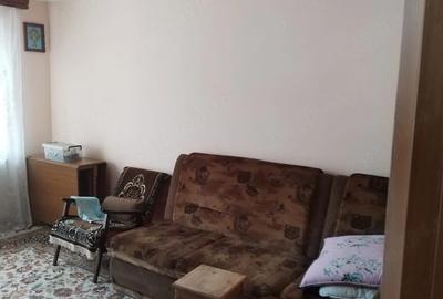 Apartament cu 2 camere decomandat în Crizbav - 10