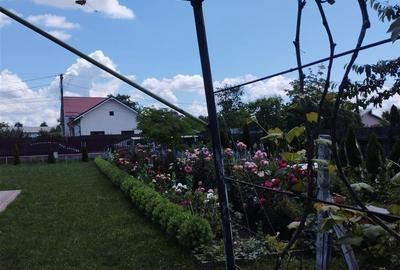 Vila, Republicii, Bacau - 20