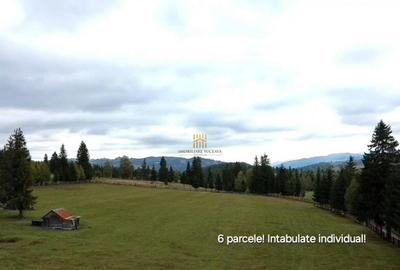 Teren 2804 mp, la munte! In Bucovina Fundu Moldovei! - 20