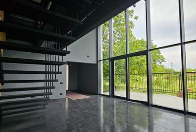 Vila concept modern -proiect industrial - 1