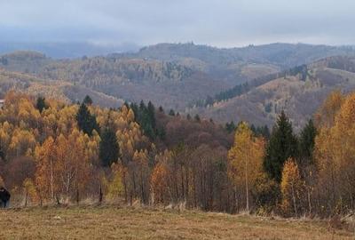 Oportunitate rara! Teren 7.283 mp, investitie garantata - 4