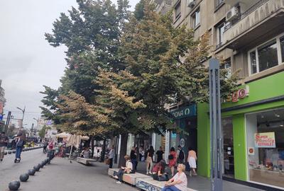 Apartament cu 2 camere în Romană - 13