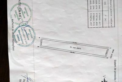 Teren de 1290 mp, în Măgurele