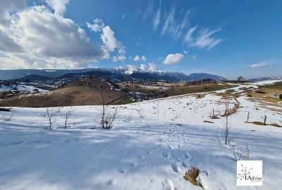 Teren De Vanzare In Sirnea - 23