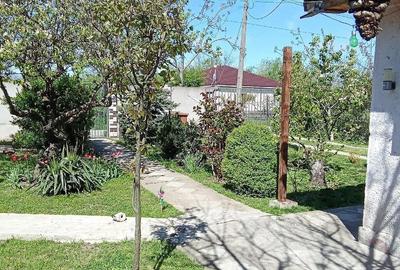 Casă cu 3 camere cu Teren 650 Mp în Moșneni - 10