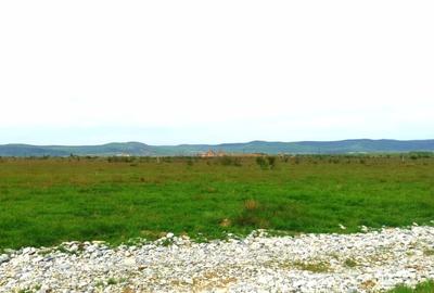 Teren extravilan  de vanzare | 8000 mp|- Valea Avrigului - 4