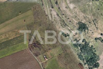 Teren de 4496 mp, în Gușterița - 1