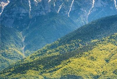 Spațiu comercial, de 381 mp, în Moieciu - 18