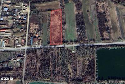 Teren de 7300 mp, în Hotarele - 1