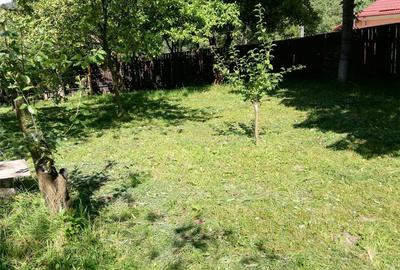 Teren de 2000 mp, în Timișu de Sus - 3