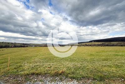 Teren intravilan in Tocile - 4354 m2 - 2 fronturi - oferta competitiva - 18