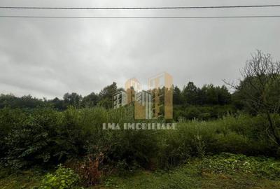 Teren intravilan Sinca Noua - 8