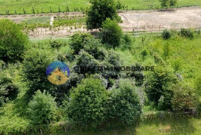 Teren intravilan com. Alexandru cel Bun- Viisoara - 7