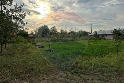 Casă cu 6 camere cu Teren 2655 Mp în Toporu - 2