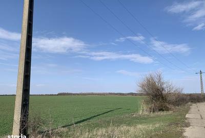 Teren de 100000 mp, în Central