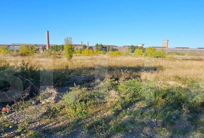 0% COMISION LA CUMPARATOR! Teren 5000m2 Targoviste - ZONA IN - 2