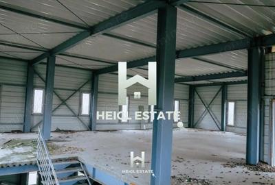 Casă cu Teren 6802 Mp în Albina - 15