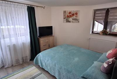 Casă cu 4 camere în Timișu de Jos - 17