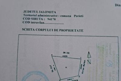 Tren perietu ialomita - 12