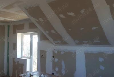 Casa Viile Satu Mare P+M - 2