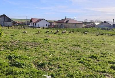 Teren de 885 mp, în Albești - 1