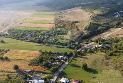 Teren de 4267 mp, în Satu Nou (Panciu) - 6