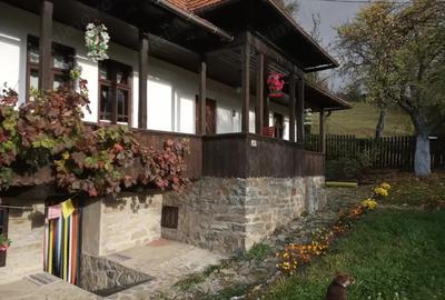 Valea Doftanei, casa traditionala cu potential