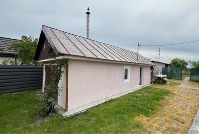 Casă cu Teren 5500 Mp în Bălteni - 2