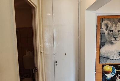 Apartament cu 3 camere decomandat în Camil Ressu - 28