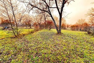 Teren de 5995 mp, în Șișești - 1