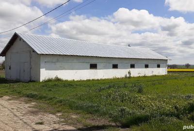 Casă cu 7 camere în Brastavățu - 5