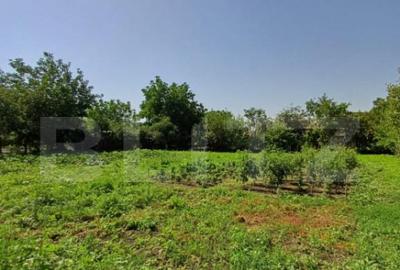 Casă cu 4 camere cu Teren 1860 Mp în Câmpia Turzii - 1