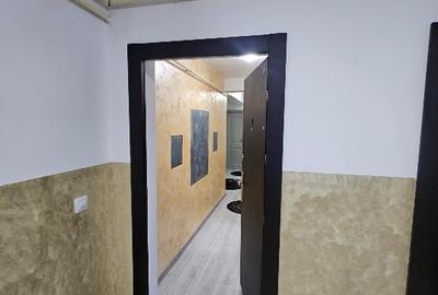 Apartament cu 2 camere decomandat, mobilat în Vișan - 1