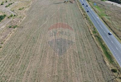 Teren agricol extravilan de 9971 mp, în Periferie - 4