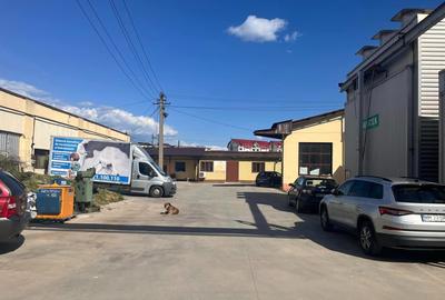 Inchiriez hale productie si birouri in Baia Mare Sud - 10