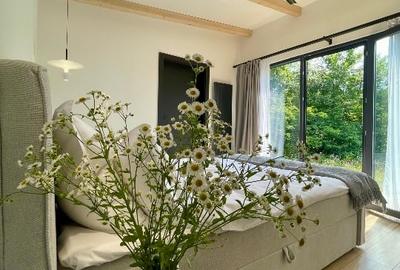 Cabana A frame situata la marginea padurii de foioase - 9