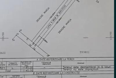 Teren Construcții intravilan de 8000 mp, în Dobroești - 7