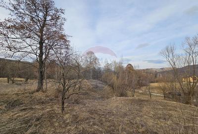 Teren Plaiu_Provita de Sus- intravilan 5373 mp_deschidere... - 5