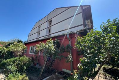 Teren str Renasterii Chitila - 6