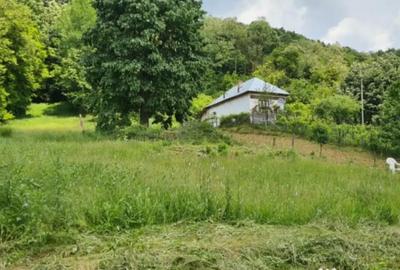 Teren de 7000 mp, în Ștubeie Tisa - 1