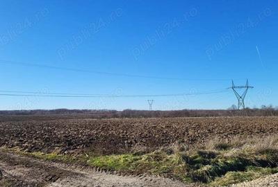Teren de 10614 mp, în Mareș - 3