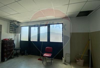 Teren cu hala, Bucsani, Crevedia / DN 61 (A1, A0) 40 Km ... - 8