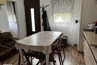 Casă cu 2 camere în Racovița - 4