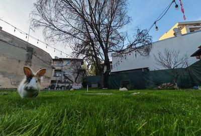 Apartament cu 4 camere semidecomandat în Moșilor - 2