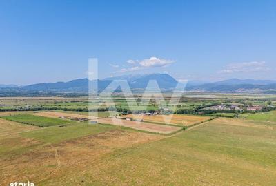 Spațiu comercial, în Părău - 4