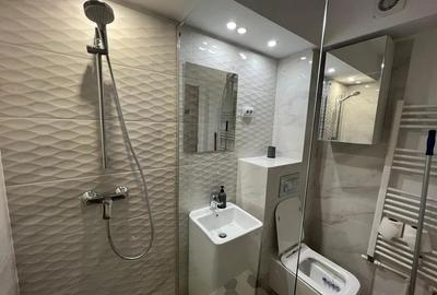 Apartament cu 1 camera, decomandat, etajul parter/5, zona Tatarasi - 8