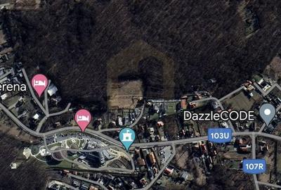 Teren de 2916 mp, în Făget - 1
