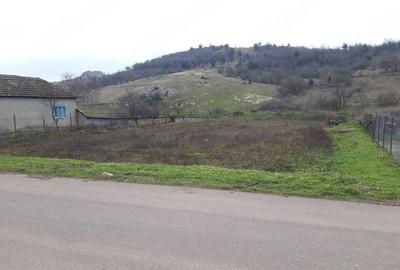 Casă cu Teren 1884 Mp în Baia - 4