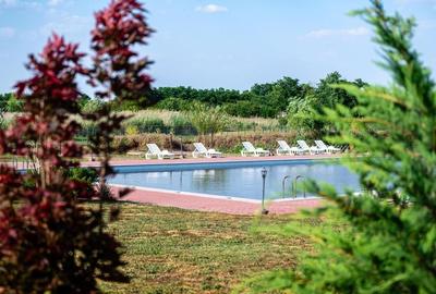 Sala de evenimente cu  piscina si foisor Biled COMISION 0 % CUMPARATOR - 16